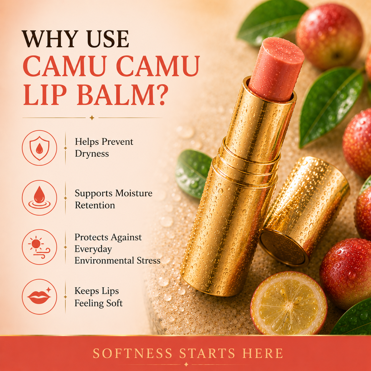 Highest Vitam C Lip Balm for Dry Lips with Camu Camu Fruit - Slide 3