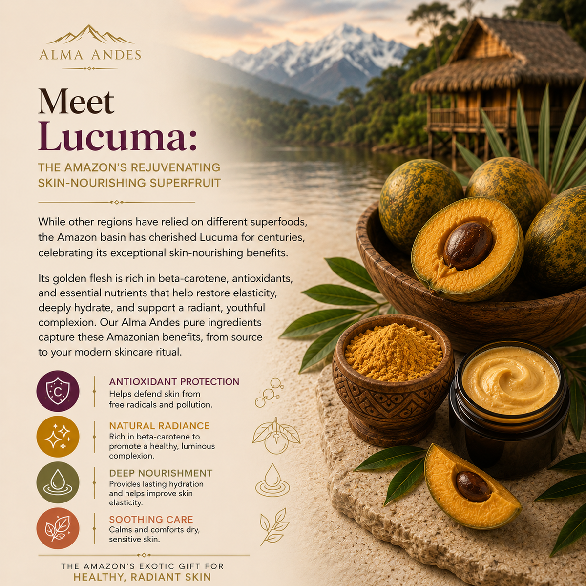 Lucuma educational slide 1
