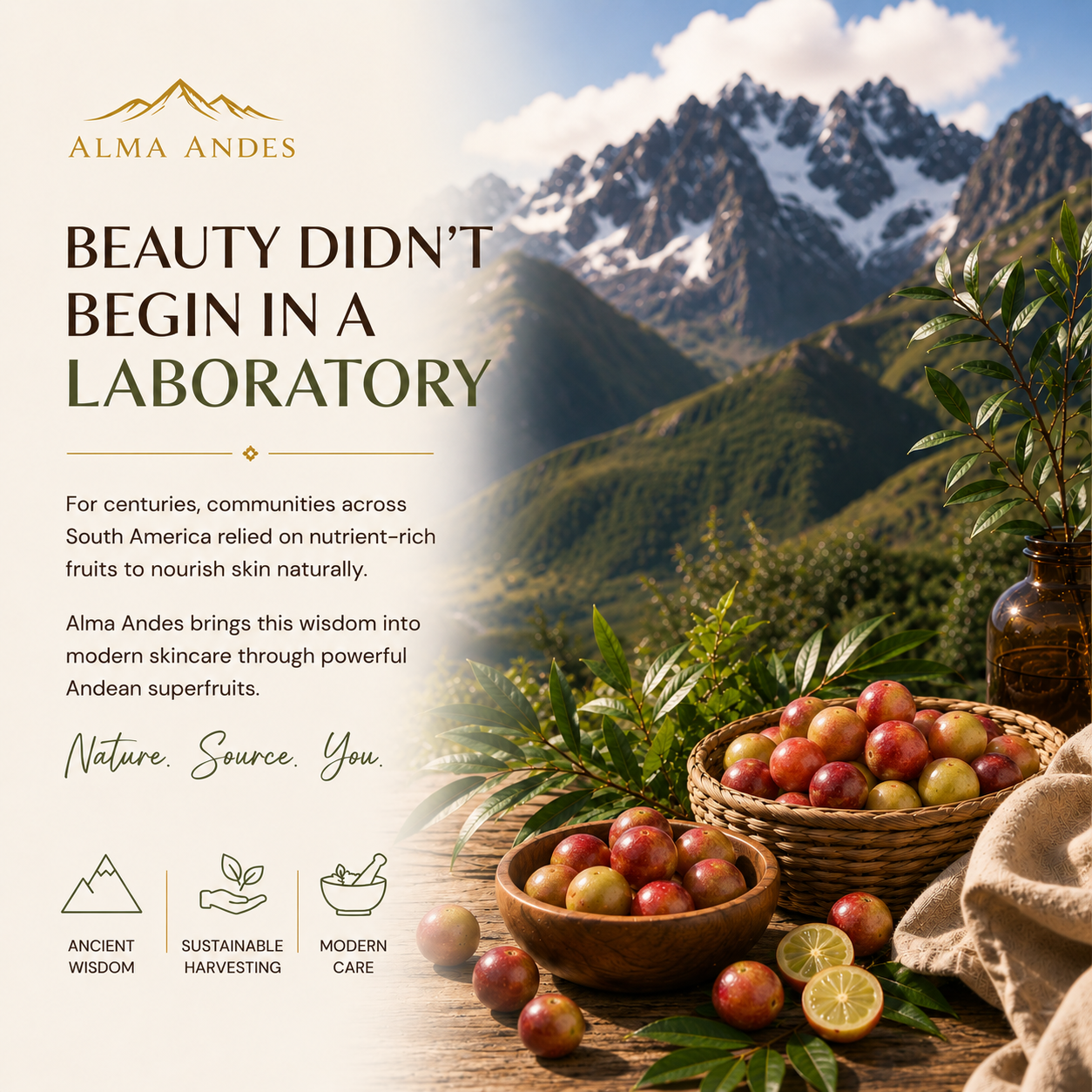 Highest Vitam C Lip Balm for Dry Lips with Camu Camu Fruit - Slide 2