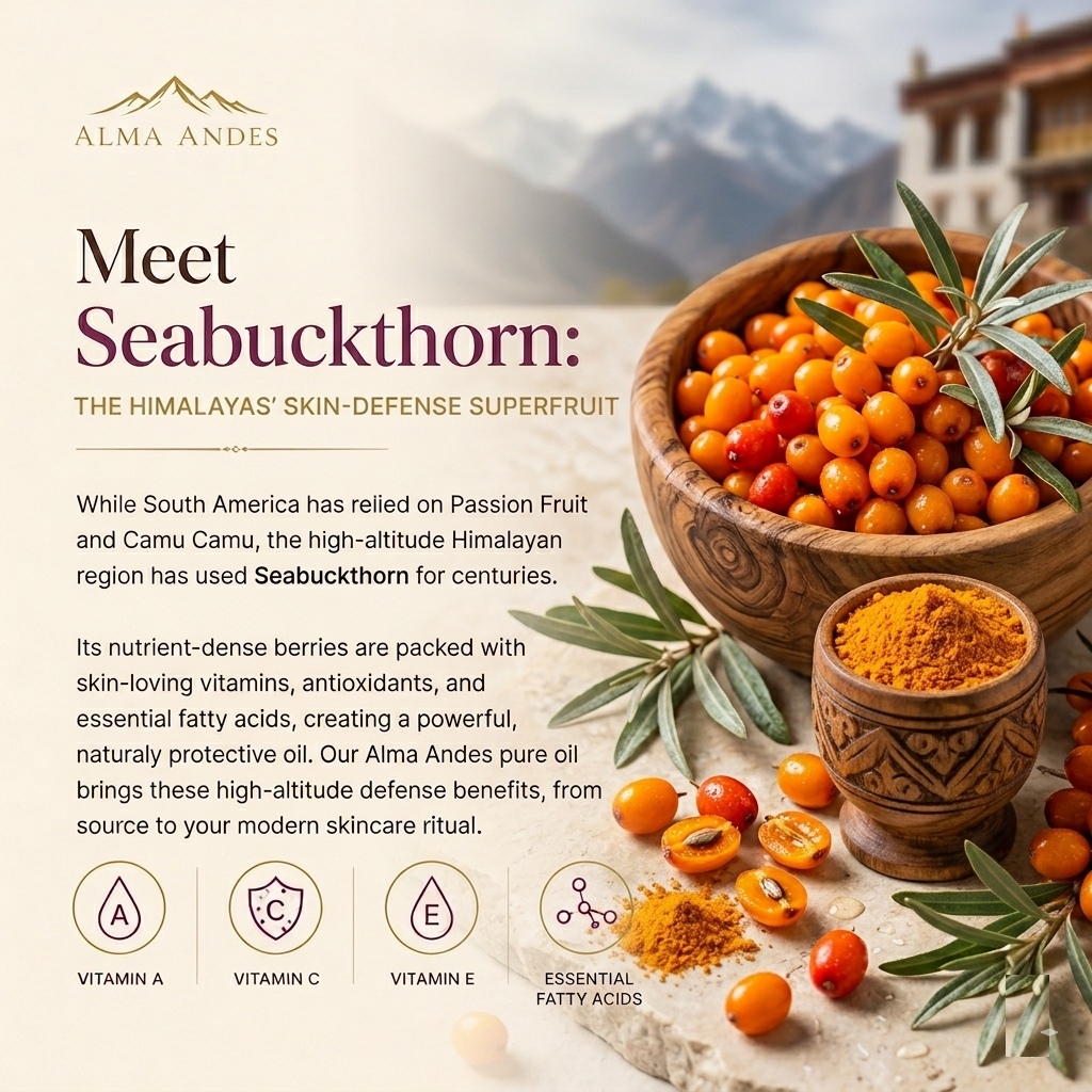 Seabuckthorn educational slide 1