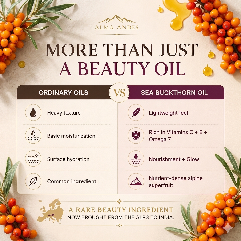 Seabuckthorn educational slide 4
