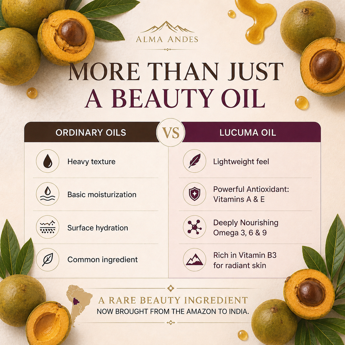 Lucuma educational slide 4