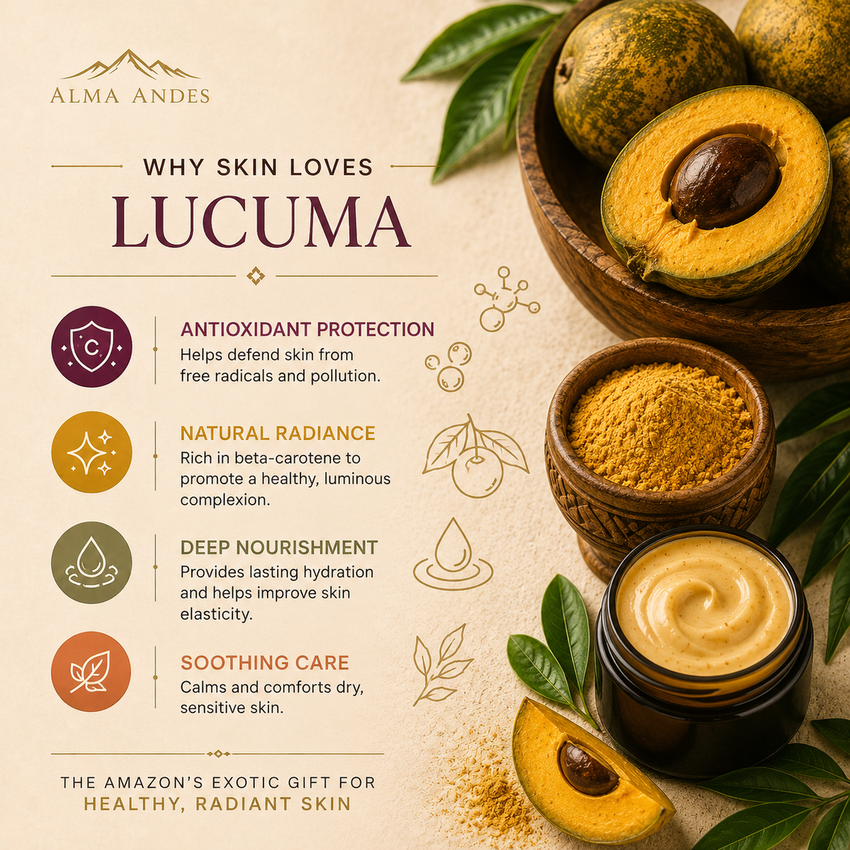 Lucuma educational slide 3